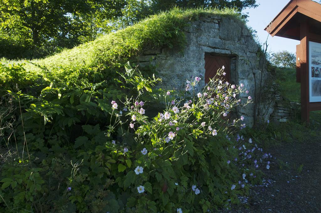 Loefwings B&B Broddetorp ภายนอก รูปภาพ